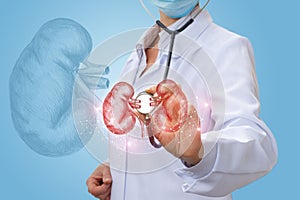 Doctor urologist diagnose kidneys of a person .