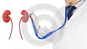 Doctor use stethoscope check kidney urology