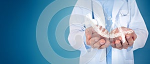 Doctor using digital molecule interface 3D illustracion