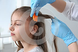 Doctor using nit comb on hair in clinic. Anti lice treatment photo