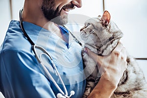 Doctor veterinarian at clinic photo