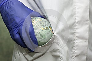 a doctor in a white coat and blue gloves puts a globe of the globe concept healthcare pharmaceuticals in the pocket of