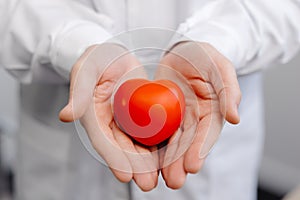 Doctor in white coat holding a red heart in hands close up. Medical health care and doctor staff service concept