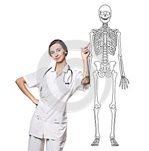 Doctor woman pointing on drawing human skeleton.