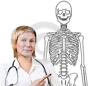 Doctor woman pointing on drawing human skeleton.