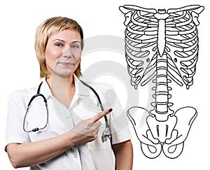 Doctor woman pointing on drawing human skeleton.