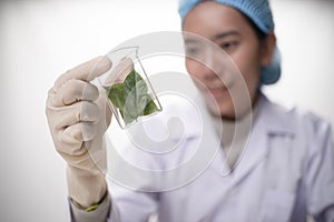 doctor woman scientist making herbal medicine in lab with herb l