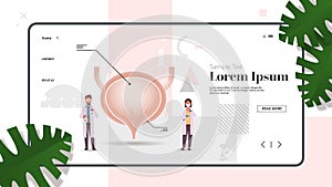 Doctors couple inspecting checking urinary bladder human internal organ examination treatment healthcare medicine