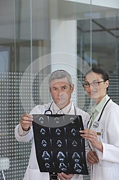 Doctors discussing xray results photo