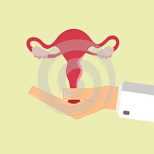Doctors hand hold female uterus. Healthcare concept. Vector illustration