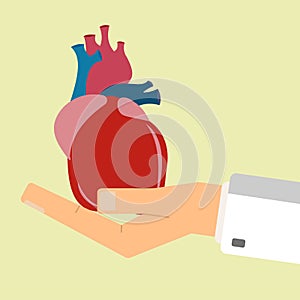 Doctors hand hold human heart. Healthcare concept. Vector illustration