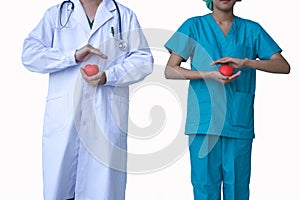 Doctors holding decorative heart on white background