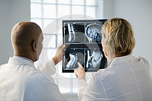 Doctors looking at xray. photo