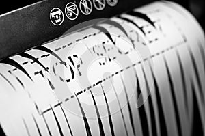 Document in paper shredder