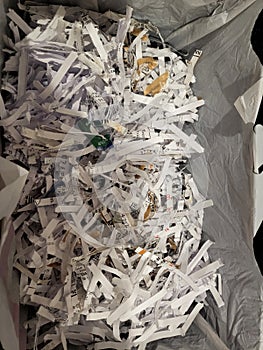 Document Shredding! Financial and Personal Papers!