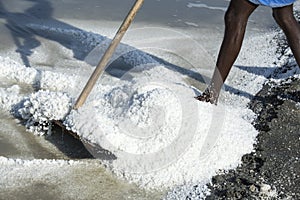 Documentary image editorial. Salt field worker India