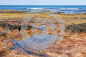 Dodds Creek Beach - Flinders