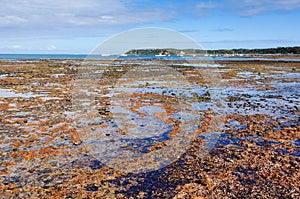 Dodds Creek Beach - Flinders