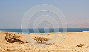 Dode zee, Israel; Dead Sea, Israel