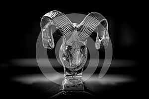 Dodge Ram car emblem