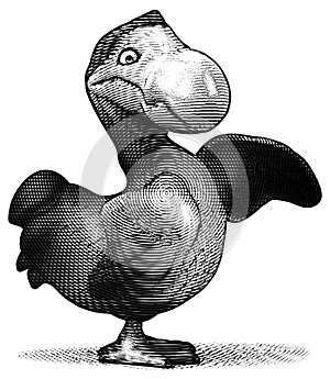 Dodo