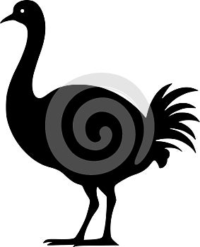 Dodo - black and white vector illustration