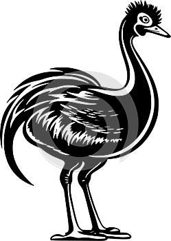 Dodo - black and white vector illustration