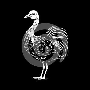 Dodo - black and white vector illustration