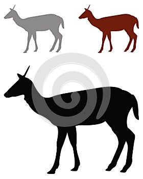 Doe or deer silhouette - hoofed ruminant mammal