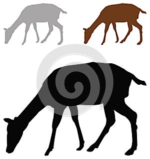 Doe or deer silhouette - hoofed ruminant mammal