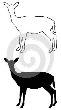 Doe or deer silhouette - hoofed ruminant mammal