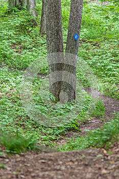 Doe Lake Hiking Trail