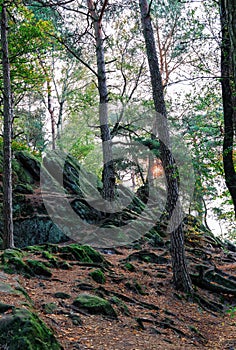 The Doerenther Cliffs in the teutoburger forest during desert storm Ophelia