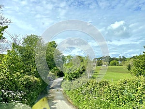 Doeset countryside in summer