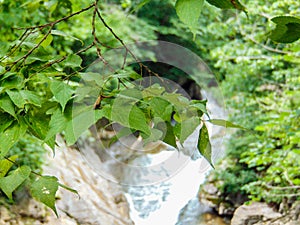 DOF River Background