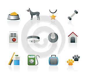 Dog accessory and symbols icons