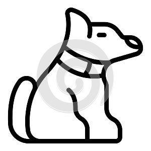 Dog adult run icon outline vector. Play agility course