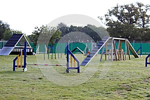 Dog agility course