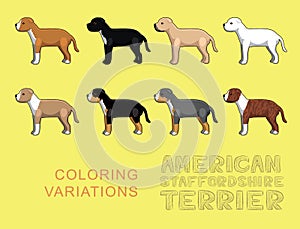Dog American Stafforshire Terrier Coloring Variations Vector Illustration