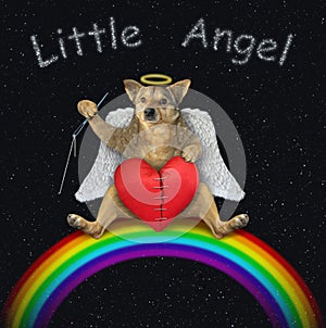 Dog angel mends broken heart 2