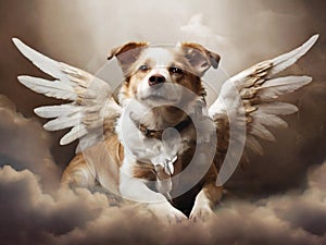 Dog with angel wings. Dog in heaven. Pet loss concept