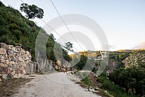 Dog at Arouca Geopark, wooden walkway on the bank of Paiva River, in the hydrographic basin of the Douro River