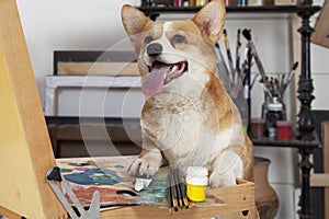 Dog in an artistic workshop