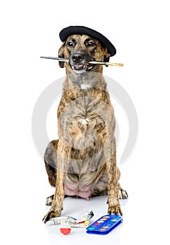 Dog as a painter with a brush. isolated on white background