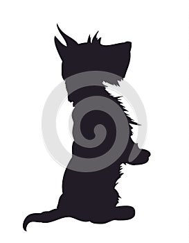 Dog asking for food, silhouette, vector