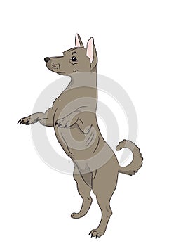 Dog asking for food, vector