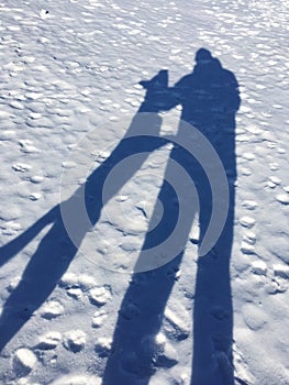 Dog attacking man shadow on a snow