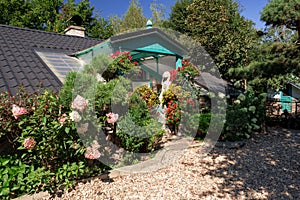 Dog baby house with flowers