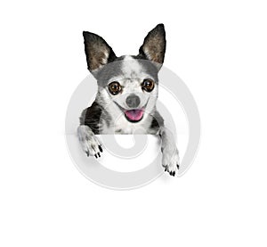 Pes reklamný formát primárne určený pre použitie na webových stránkach 