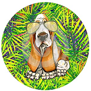 Dog Basset in sunglasses in a round frame. palm leaves.